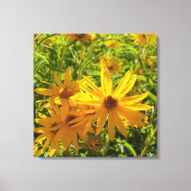 Flores en mi hierbas " flowers in my weeds "