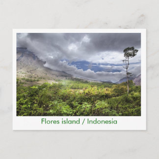 Flores island / Indonesia Postcard