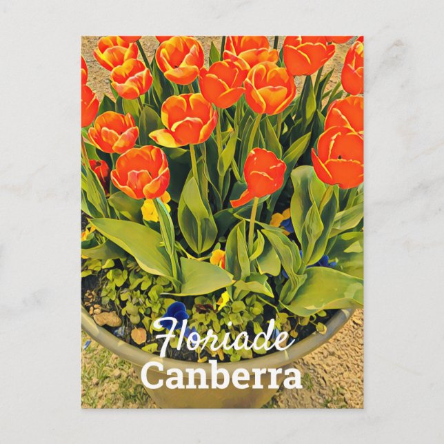 Floriade Canberra Australia flower tulip festival Postcard (Front)
