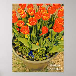 Floriade Canberra flower festival print tulips