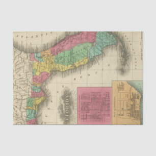 Florida 10 2 tissue paper