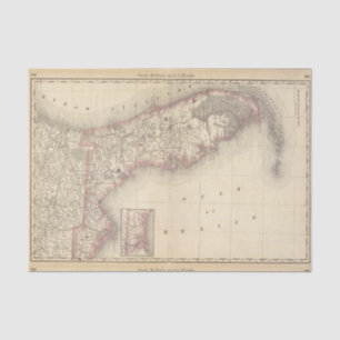 Florida 10 tissue paper