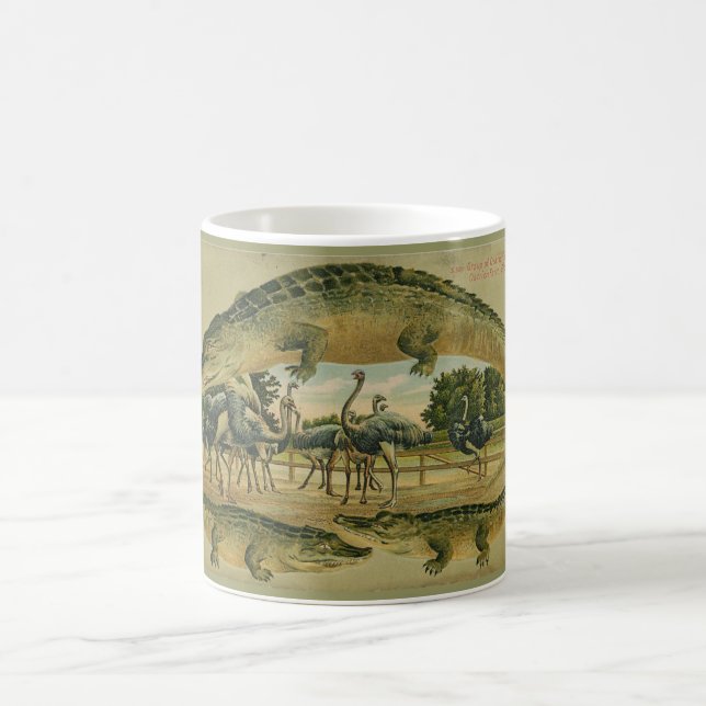 Florida 1905 Alligator Border mug (Center)