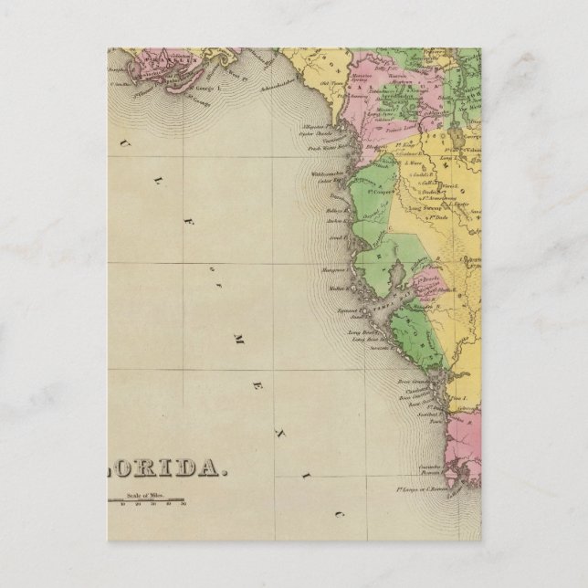 Florida 2 postcard (Front)