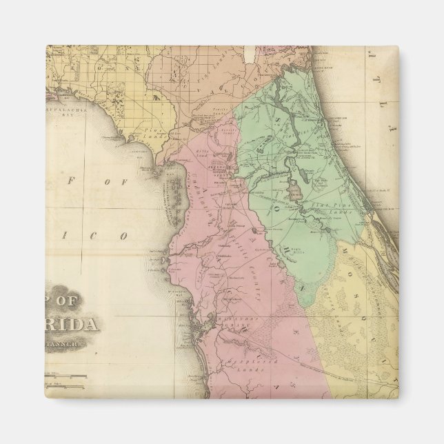 Florida 4 magnet (Front)