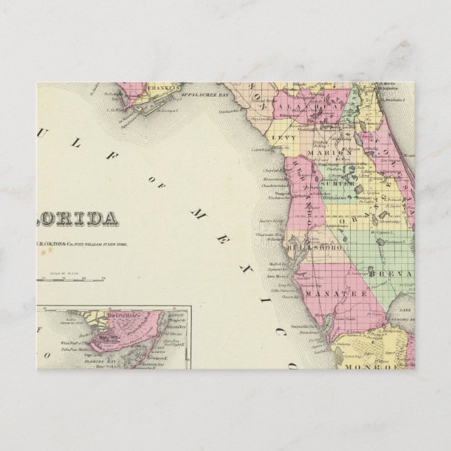 Florida 5 postcard (Front)