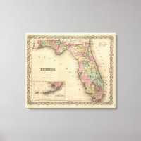 Florida 7