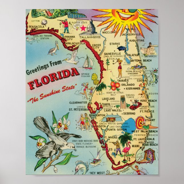 Florida 8x10 Poster Print (Front)