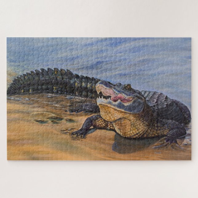 Florida Alligator. Face to face Jigsaw Puzzle (Horizontal)