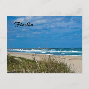 Florida Beach and Pier Postcard