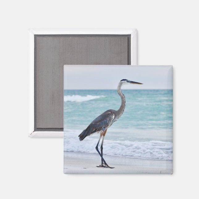 Florida beach birds magnet (Front/Back)
