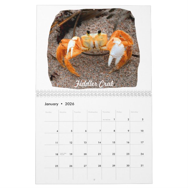 Florida Beach Images Photos Calendar (Jan 2026)