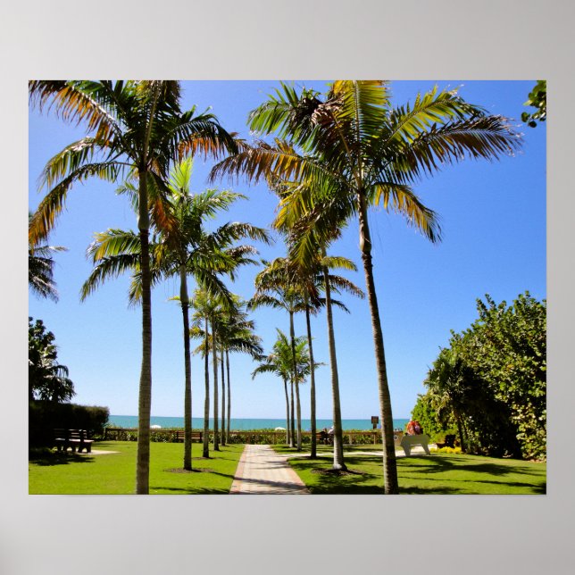 FLORIDA BEACH PALM TREES TROPICAL  PARK POSTER (Front)