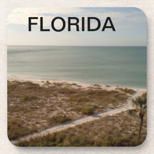 Florida Beach Path Towards the Shore Coaster