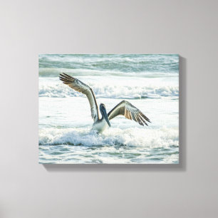 Florida Beach Pelican Canvas Print
