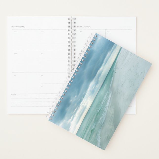 Florida Beach Planner (Display)