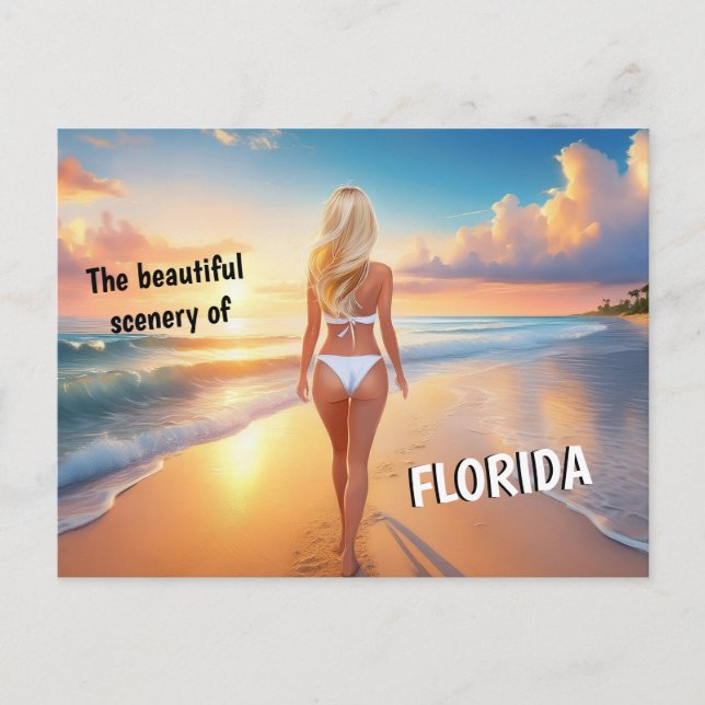 Florida -beautiful scenery postcard (Front)