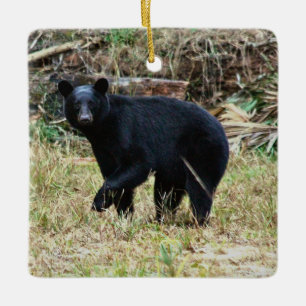 Florida Black Bear Ceramic Ornament