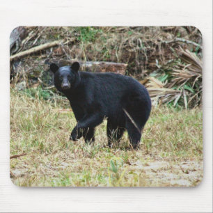 Florida Black Bear Mouse Mat