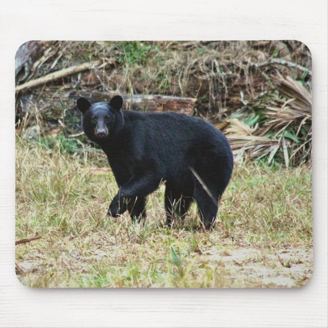 Florida Black Bear Mouse Mat (Front)