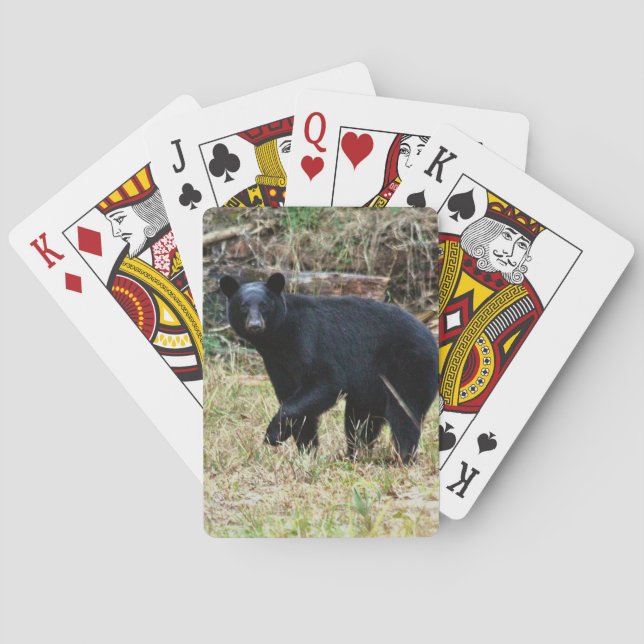 Florida Black Bear Playing Cards (Back)