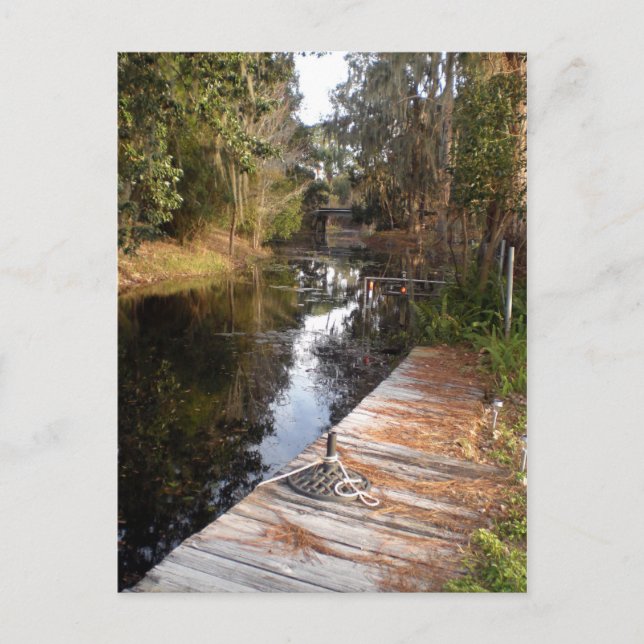 Florida blackwater postcard (Front)