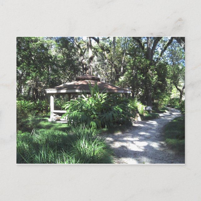 Florida Botanical Garden Postcard (Front)