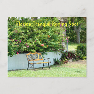 Florida Bougainvillea Bench Postcard