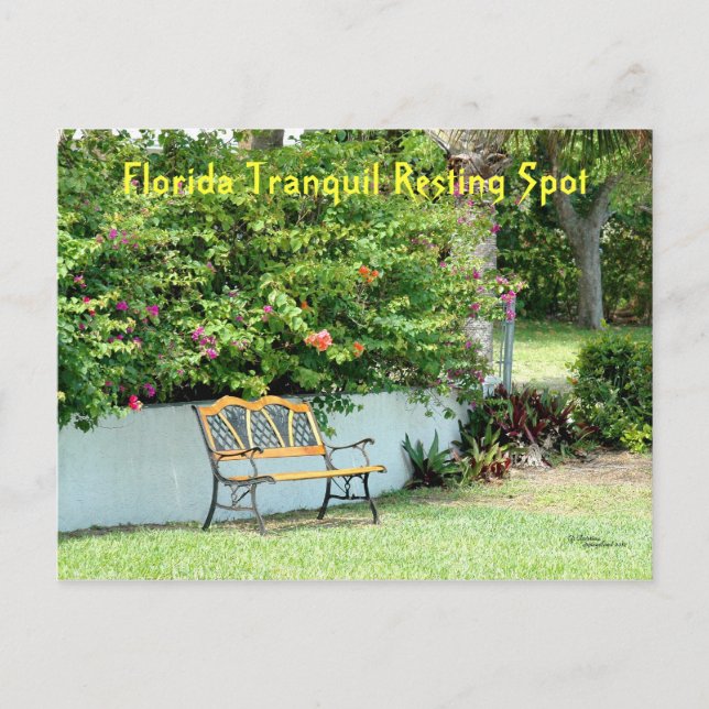 Florida Bougainvillea Bench Postcard (Front)