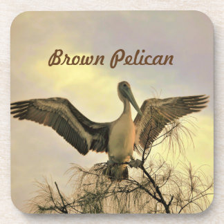 Florida Brown Pelican in Flight Coaster