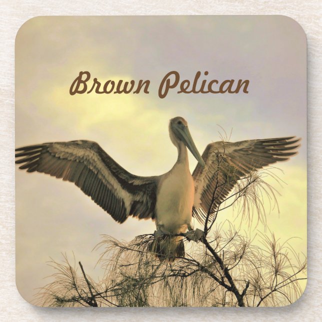 Florida Brown Pelican in Flight Coaster (Front)