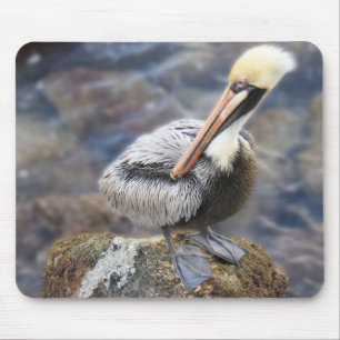 Florida Brown Pelican Standing on Jetty Rock Mouse Mat