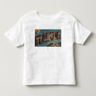 Florida (Capital Building) - Large Letter Toddler T-Shirt