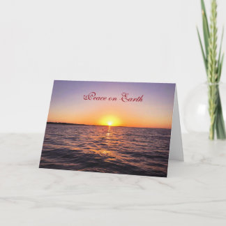 Florida Christmas 2017 J & D 2 Holiday Card