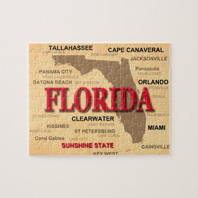 Florida Cities And Towns State Pride Map Jigsaw Puzzle (Horizontal)