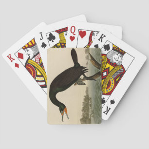 Florida Cormorant from Audubon's Birds of America Playing Cards