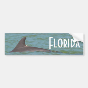 Florida Dolphin bumper sticker