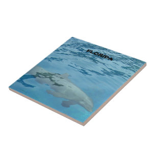 Florida Dolphin Underwater Ocean Scene Tile
