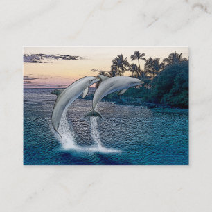 Florida Dolphins Business card