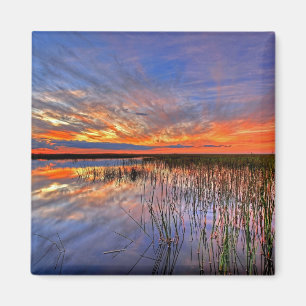 Florida Everglades Magnet