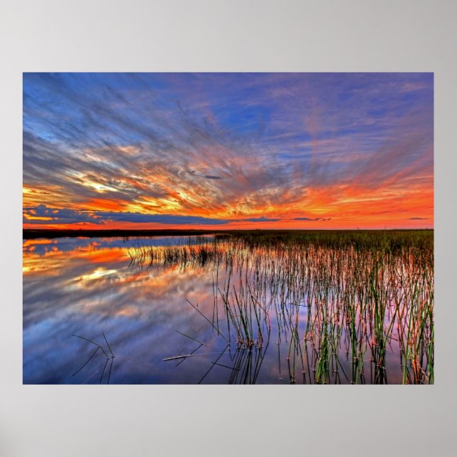 Florida Everglades Poster (Front)