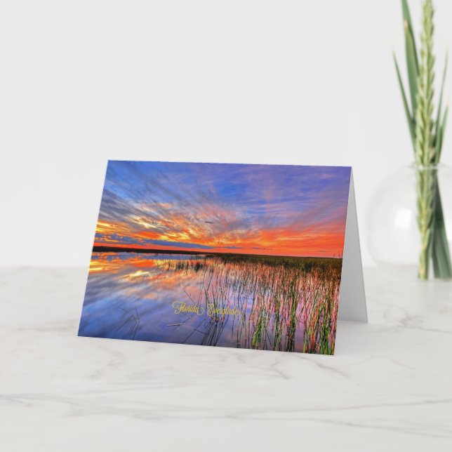 Florida Everglades, scenic panorama, Card (Front)