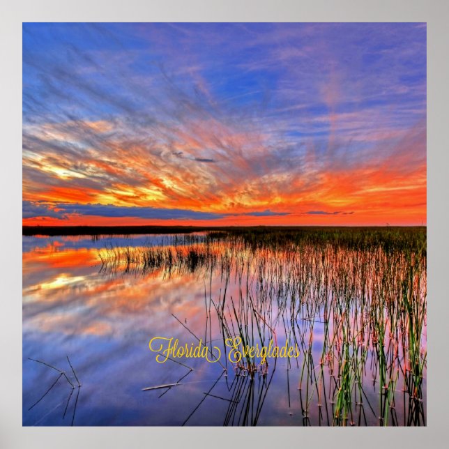 Florida Everglades, scenic panorama, Poster (Front)