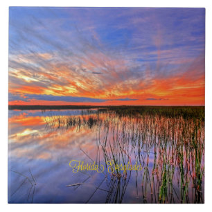 Florida Everglades, scenic panorama, Tile