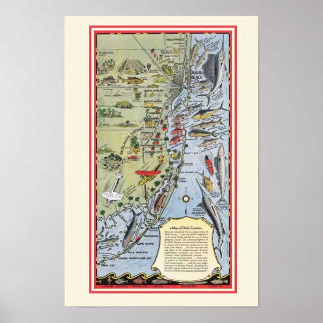 Florida Fish 12x18 Poster Print (Front)