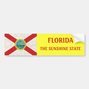 FLORIDA FLAG AGED BUMPER STICKER