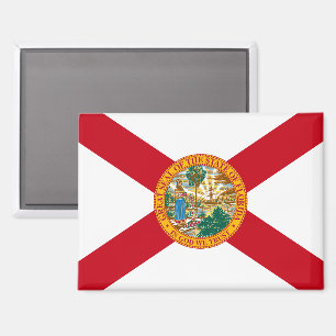 Florida Flag: The Sunshine State of Floridians Magnet