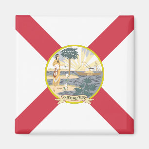 Florida Flag: The Sunshine State of Floridians Magnet
