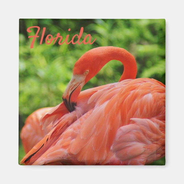 Florida Flamingo Magnet Square (Front)