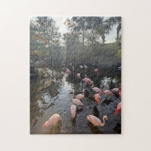 Florida Flamingos Jigsaw Puzzle